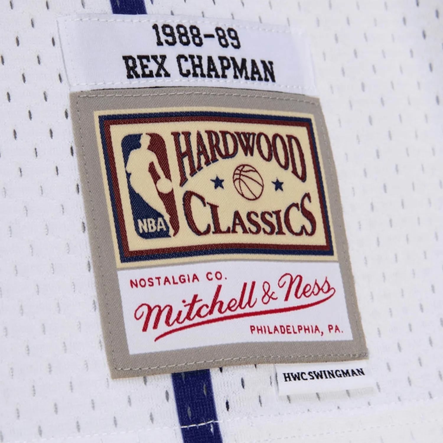 Swingman Rex Chapman Charlotte Hornets NBA 1988-89 Jersey