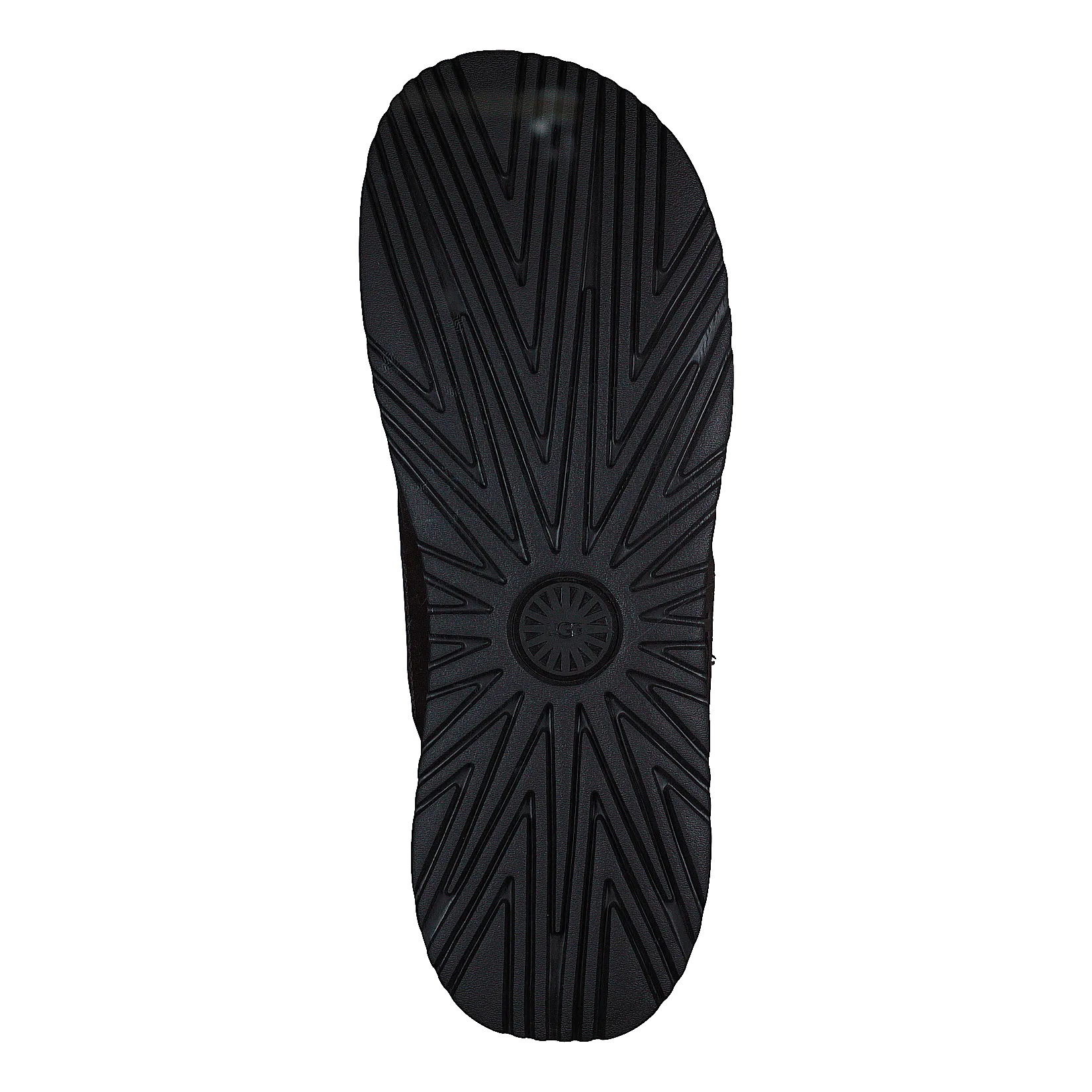 Wainscott Slide Grizzly